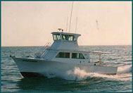 The Stephanie  Fishing boat, Andy Griffiths Charters, Key West, FL