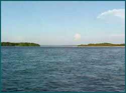 Marquesas Keys